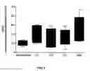 Fig. 09 - Method and apparatus for isolating invasive and metastatic cells for evaluating therapeutics and prediction of metastatic capacity
