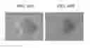 Fig. 11 - Method for preparing highly concentrated killed bacteria using membrane filter and killed bacteria prepared thereby