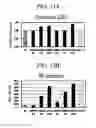 Fig. 17 - Method for preparing highly concentrated killed bacteria using membrane filter and killed bacteria prepared thereby