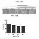 Fig. 19 - Method for preparing highly concentrated killed bacteria using membrane filter and killed bacteria prepared thereby