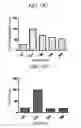 Fig. 20 - Method for preparing highly concentrated killed bacteria using membrane filter and killed bacteria prepared thereby
