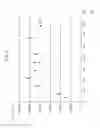 Fig. 03 - CELL PREPARATION METHOD, CELL CULTIVATION DEVICE, AND KIT