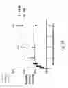 Fig. 03 - Co-culture system and method for in vitro assessment of reverse cholesterol transport