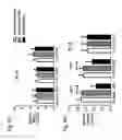 Fig. 13 - Co-culture system and method for in vitro assessment of reverse cholesterol transport