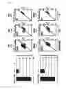 Fig. 10 - Method for inducing oligodendrocyte precursor cells from Oct4-induced human somatic cells through direct reprogramming