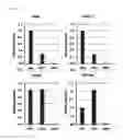 Fig. 12 - Method for inducing oligodendrocyte precursor cells from Oct4-induced human somatic cells through direct reprogramming
