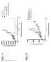 Fig. 16 - Gene-regulating compositions and methods for improved immunotherapy