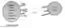 Fig. 01 - Feeder cell and method for growing gamma delta T cells by using same