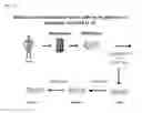 Fig. 04 - Feeder cell and method for growing gamma delta T cells by using same