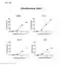 Fig. 05 - Feeder cell and method for growing gamma delta T cells by using same