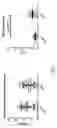 Fig. 02 - VCN enhancer compositions and methods of using the same