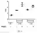 Fig. 09 - VCN enhancer compositions and methods of using the same