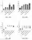 Fig. 10 - VCN enhancer compositions and methods of using the same