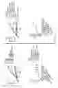 Fig. 15 - VCN enhancer compositions and methods of using the same