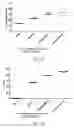 Fig. 20 - VCN enhancer compositions and methods of using the same