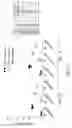 Fig. 22 - VCN enhancer compositions and methods of using the same