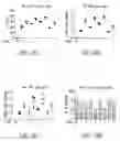 Fig. 26 - VCN enhancer compositions and methods of using the same