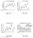 Fig. 27 - VCN enhancer compositions and methods of using the same