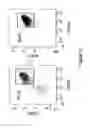 Fig. 05 - Encapsulated liver tissue
