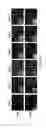 Fig. 15 - Encapsulated liver tissue