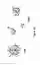 Fig. 16 - Encapsulated liver tissue