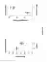 Fig. 25 - Encapsulated liver tissue