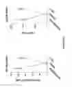 Fig. 27 - Encapsulated liver tissue