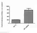 Fig. 01 - EPITHELIAL TUMOR CELL CULTURES