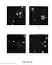 Fig. 06 - EPITHELIAL TUMOR CELL CULTURES