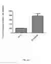 Fig. 14 - EPITHELIAL TUMOR CELL CULTURES
