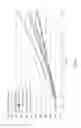 Fig. 09 - RECOMBINANT ONCOLYTIC VIRUS, SYNTHETIC DNA SEQUENCE, AND APPLICATION THEREOF