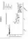 Fig. 20 - Materials and methods for treatment of hemoglobinopathies
