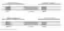 Fig. 01 - Engineered meganucleases specific for recognition sequences in the hepatitis B virus genome