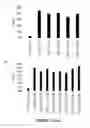 Fig. 09 - Engineered meganucleases specific for recognition sequences in the hepatitis B virus genome