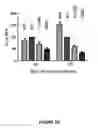 Fig. 14 - Engineered meganucleases specific for recognition sequences in the hepatitis B virus genome