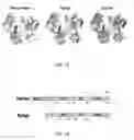 Fig. 02 - NgAgo-based gene-editing method and the uses thereof