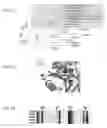 Fig. 03 - NgAgo-based gene-editing method and the uses thereof