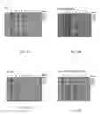 Fig. 18 - NgAgo-based gene-editing method and the uses thereof