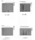 Fig. 24 - NgAgo-based gene-editing method and the uses thereof