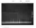 Fig. 01 - METHODS OF DEPLETING OR ISOLATING TARGET RNA FROM A NUCLEIC ACID SAMPLE