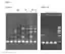 Fig. 05 - METHODS OF DEPLETING OR ISOLATING TARGET RNA FROM A NUCLEIC ACID SAMPLE