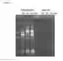 Fig. 06 - METHODS OF DEPLETING OR ISOLATING TARGET RNA FROM A NUCLEIC ACID SAMPLE
