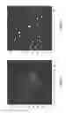 Fig. 34 - Arrays for Single Molecule Detection and Uses Thereof