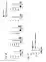 Fig. 24 - GENE-REGULATING COMPOSITIONS AND METHODS FOR IMPROVED IMMUNOTHERAPY