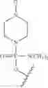 Fig. 240 - Antisense oligomers and methods of using the same for treating diseases associated with the acid alpha-glucosidase gene