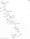 Fig. 241 - Antisense oligomers and methods of using the same for treating diseases associated with the acid alpha-glucosidase gene