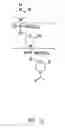 Fig. 02 - MULTIPLE EXON SKIPPING COMPOSITIONS FOR DMD
