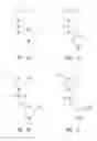 Fig. 05 - MULTIPLE EXON SKIPPING COMPOSITIONS FOR DMD