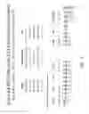 Fig. 30 - MULTIPLE EXON SKIPPING COMPOSITIONS FOR DMD