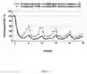 Fig. 16 - Compositions and methods for inhibiting gene expression of alpha-1 AntiTrypsin